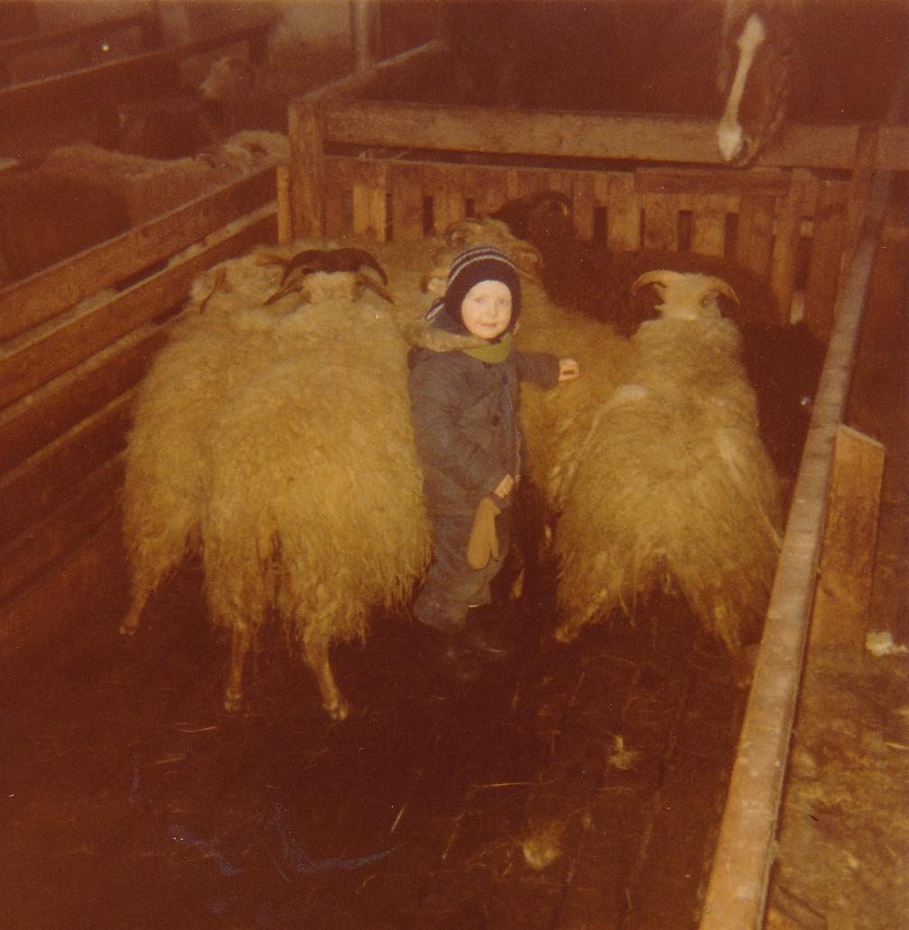 Jökull the young sheep herder
